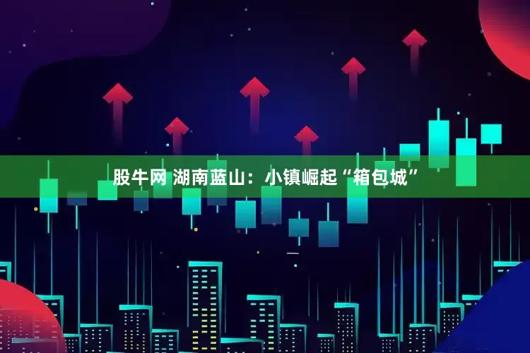 股牛网 湖南蓝山：小镇崛起“箱包城”