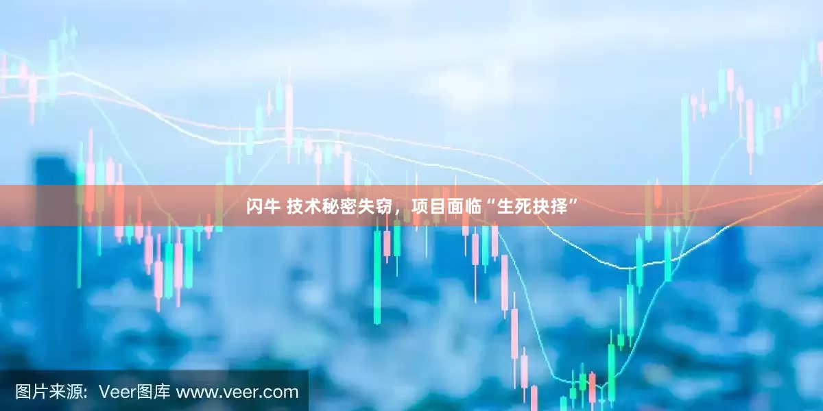 闪牛 技术秘密失窃，项目面临“生死抉择”